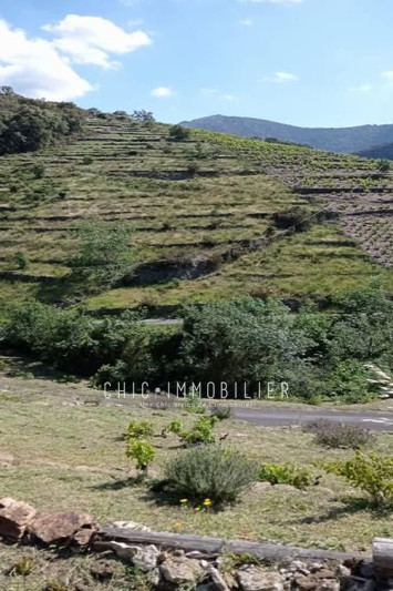 Vente terrain Collioure  