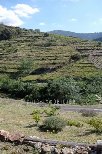 Vente terrain Collioure  