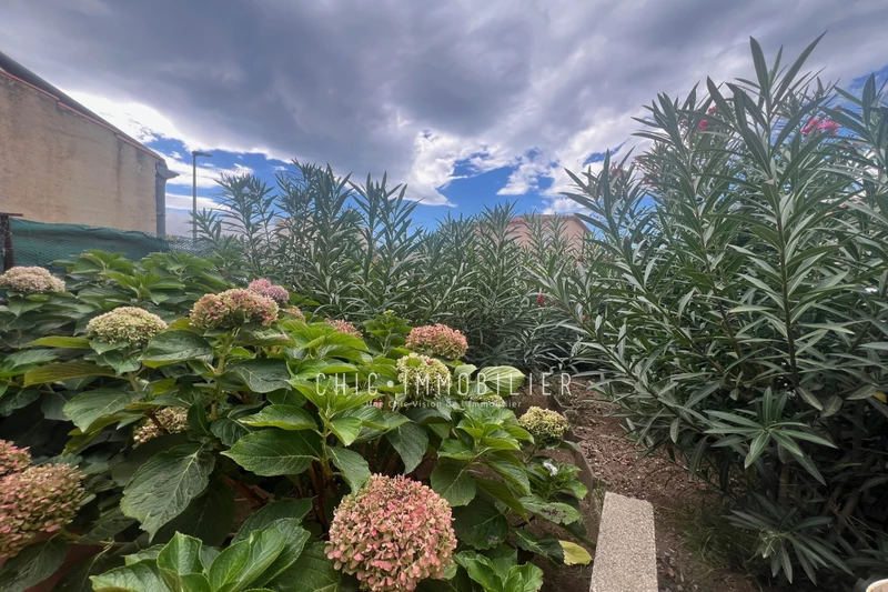Vente maison Argelès-sur-Mer  