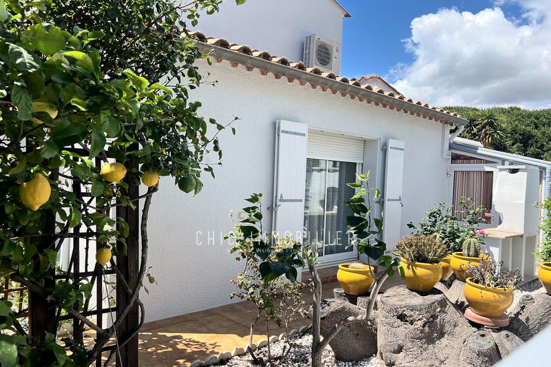 Vente maison Saint-Cyprien  