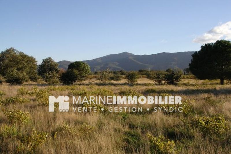 Photo Terrain Argelès-sur-Mer Proche plages, achat terrain