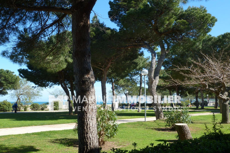 Photo Appartement Argelès-sur-Mer Front de mer, achat appartement 2 pièces 36 m²