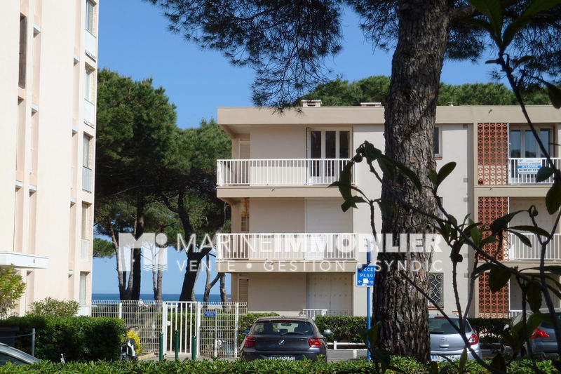 Photo Appartement Argelès-sur-Mer Bord de mer, achat appartement 2 pièces 25 m²