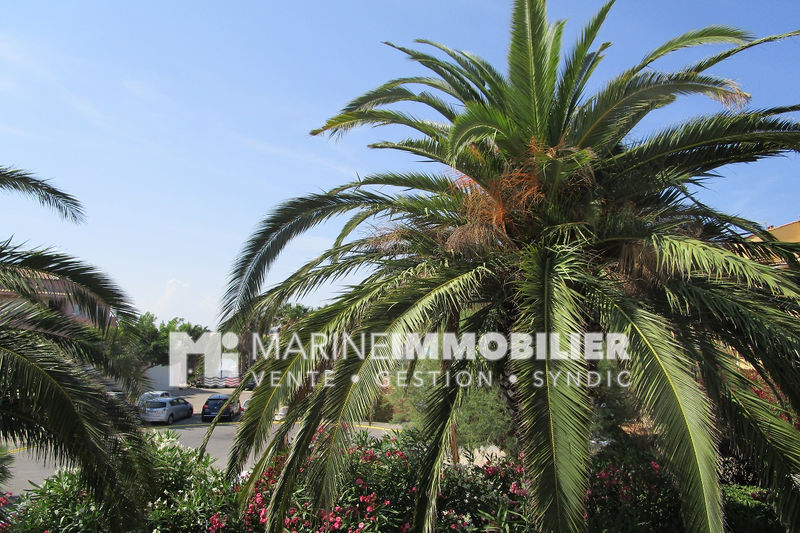 Photo Studio cabine Saint-Cyprien Bord de mer, achat studio cabine 1 pièce 20 m²