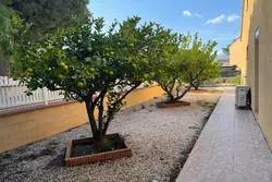 Vente maison Argelès-sur-Mer  