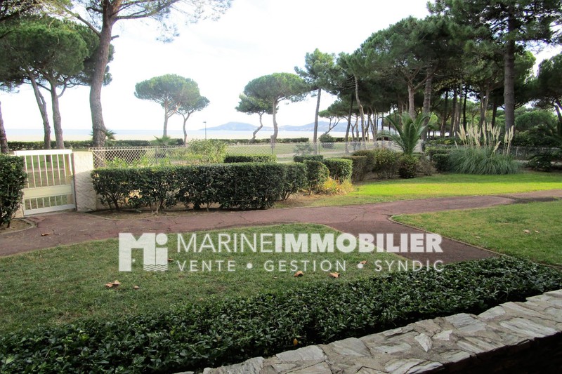 Photo Appartement Argelès-sur-Mer Bord de mer, achat appartement 1 pièce 28 m²