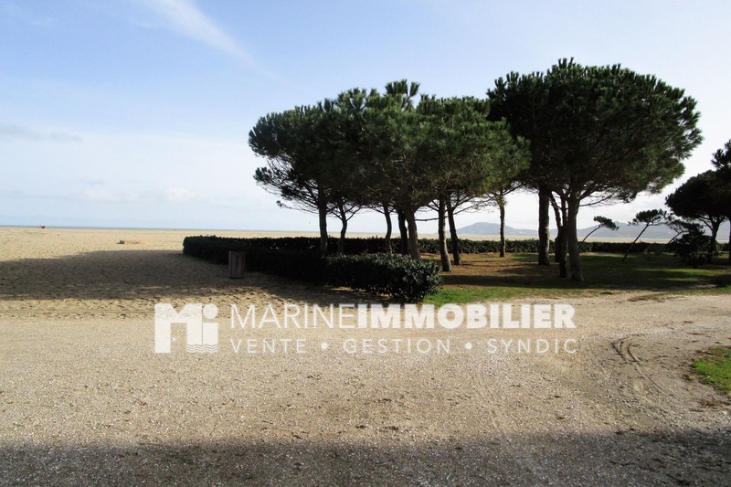 Photo Appartement Argelès-sur-Mer Bord de mer, achat appartement 21 m²