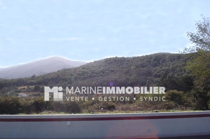 Photo Terrain Le Boulou Village, achat terrain 214 m²