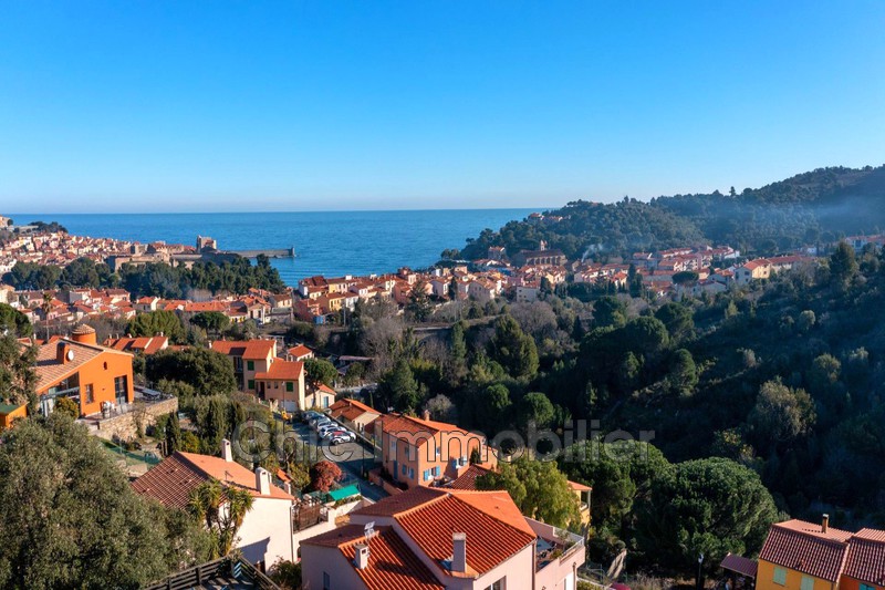 Villa Collioure   achat villa  5 chambres   195&nbsp;m&sup2;