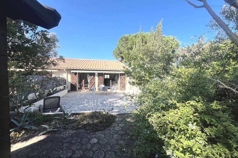 Vente maison Argelès-sur-Mer  