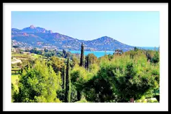 Photos  Appartement à vendre Agay 83530