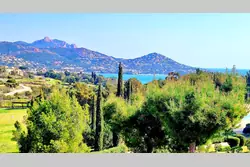Photos  Appartement à vendre Saint-Raphaël 83700
