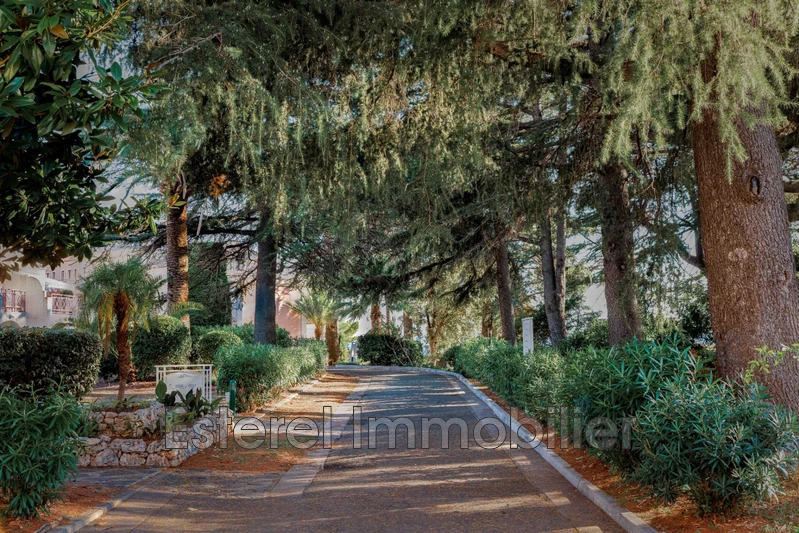 Vente appartement Cannes  