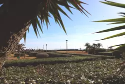 Vente appartement Canet-Plage  