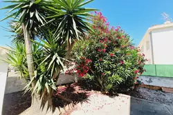 Vente villa Canet-en-Roussillon  