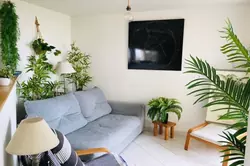 Vente appartement Canet-Plage  