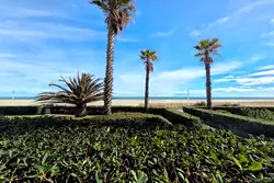 Vente appartement Canet-Plage  