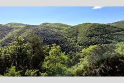 Vente propriété Maureillas-las-Illas  