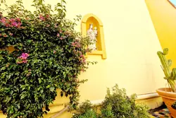 Vente maison de maître Saint-Laurent-de-la-Salanque  