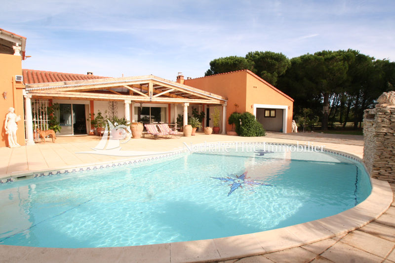 Photo Propriété Perpignan Route des plages, achat propriété 7 chambres 465 m²