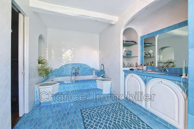 Vente villa Opio  