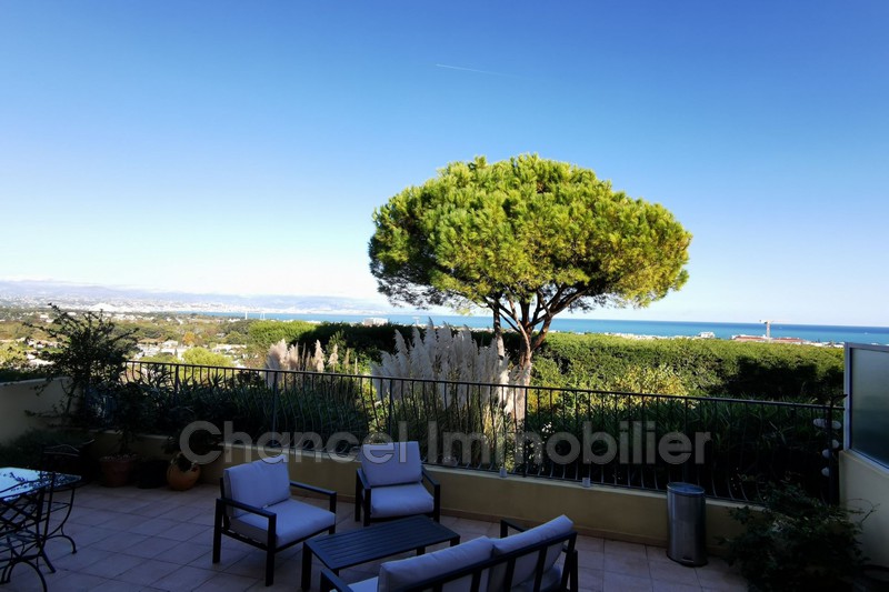 vente Appartement Antibes Constance Appartement Antibes Constance, achat appartement 2 pièces 36 m²