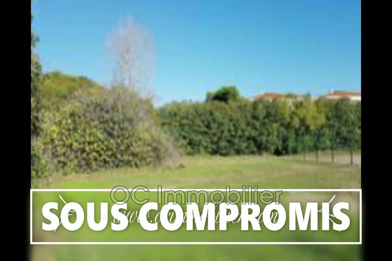 Photo Terrain Elne Village, achat terrain 895 m²