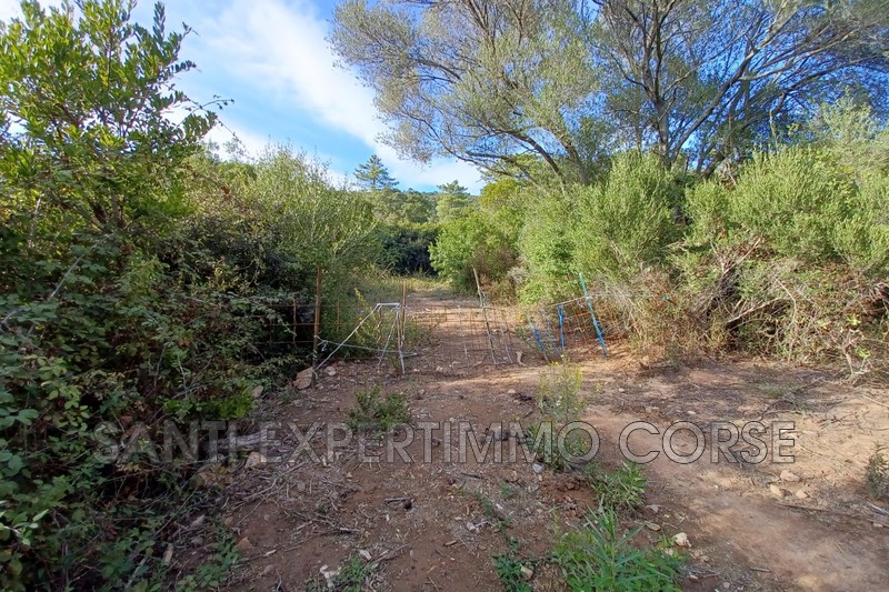 Terrain Conca Bord de mer,   achat terrain   29835&nbsp;m&sup2;