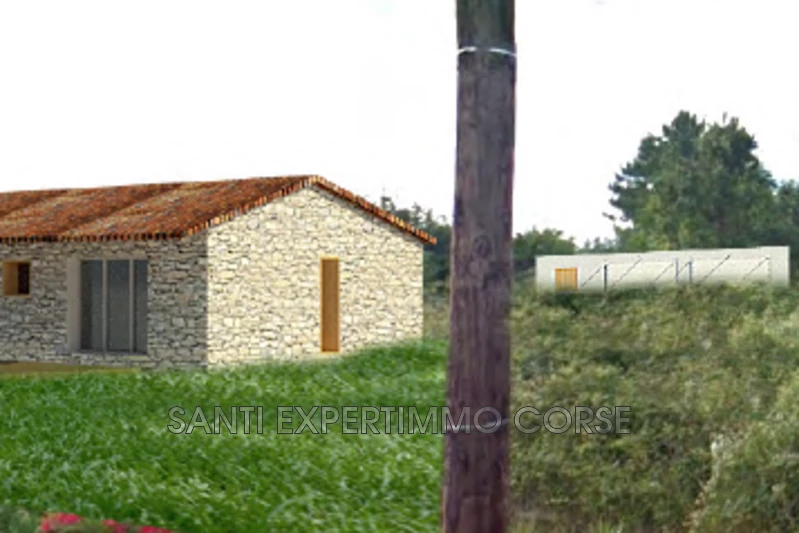 Vente terrain Sari-Solenzara  