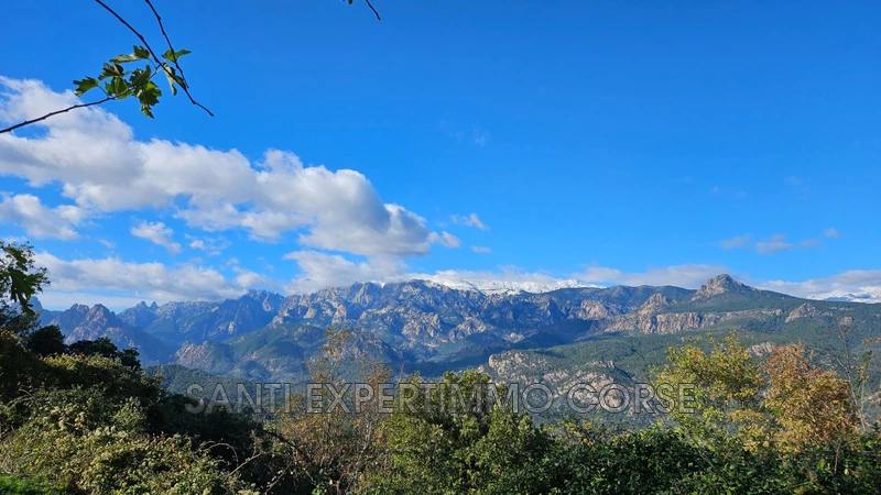 Vente terrain Sari-Solenzara  