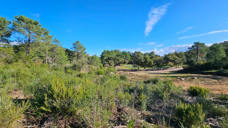 Vente terrain Sari-Solenzara  