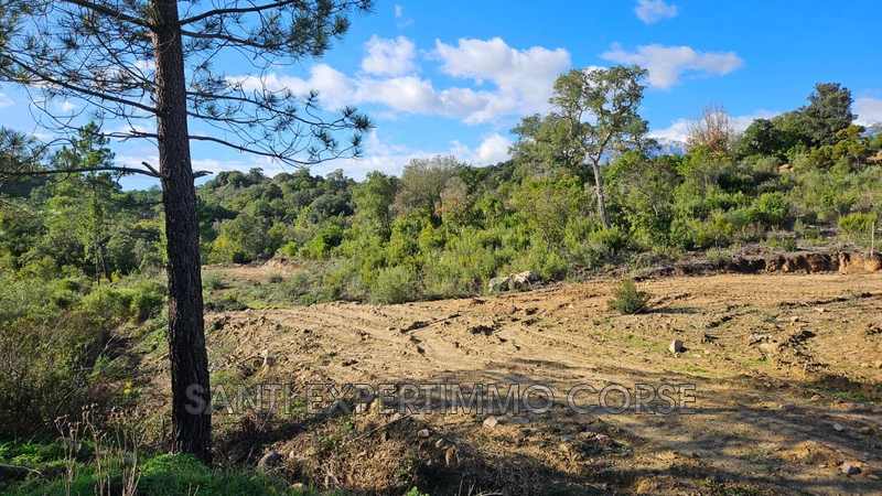 Vente terrain Sari-Solenzara  
