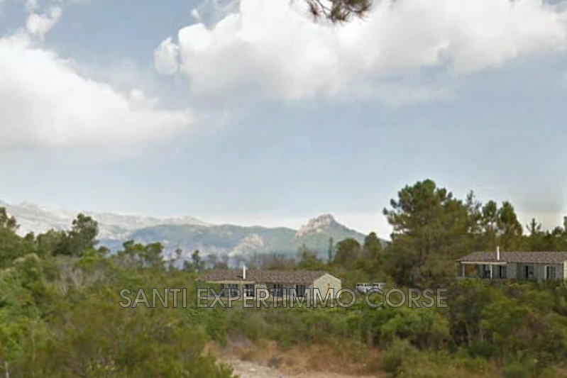 Vente terrain Sari-Solenzara  