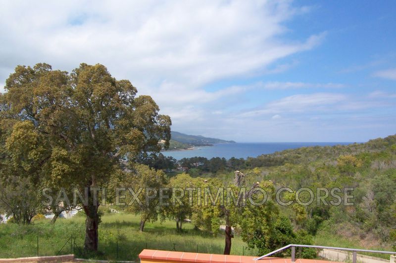 Photo Appartement Conca Proche plages, achat appartement 3 pièces 54 m²