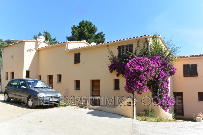 Photo Idéal investisseur Favone conca Proche plages, to buy idéal investisseur 2 bedroom 50 m²