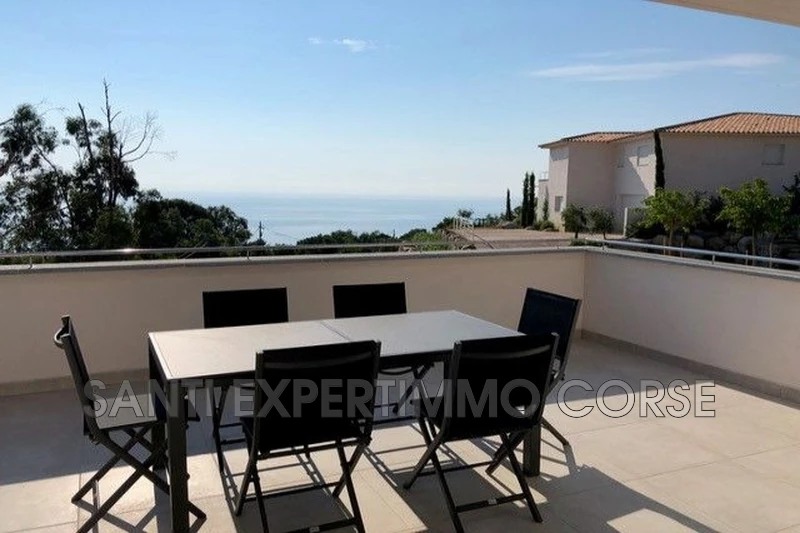 Vente maison contemporaine Sari-Solenzara  
