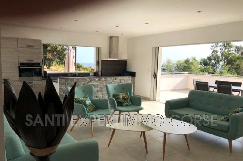 Vente maison contemporaine Sari-Solenzara  