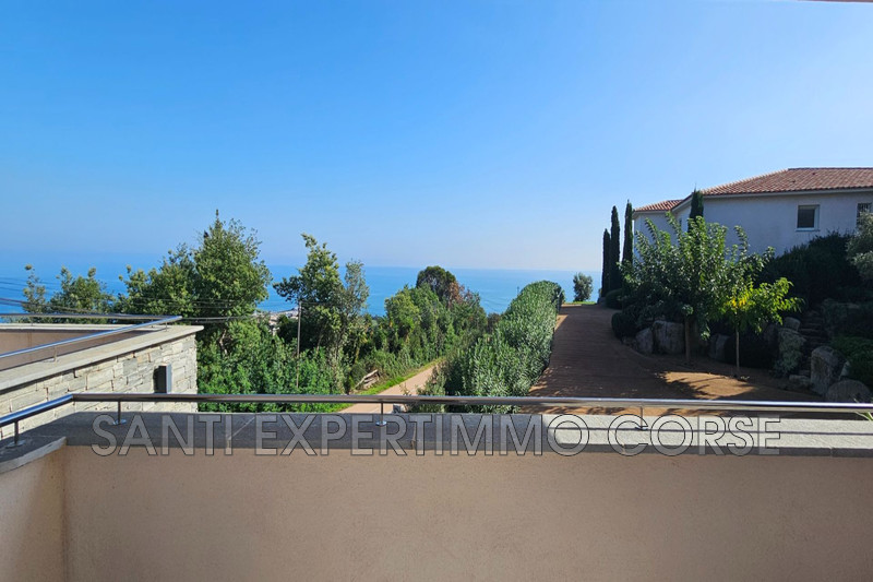 Vente maison contemporaine Sari-Solenzara  