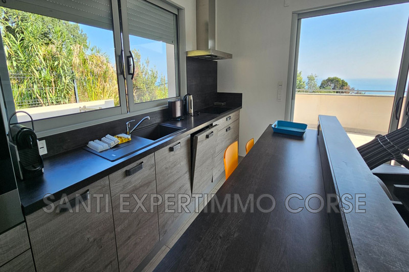 Vente maison contemporaine Sari-Solenzara  