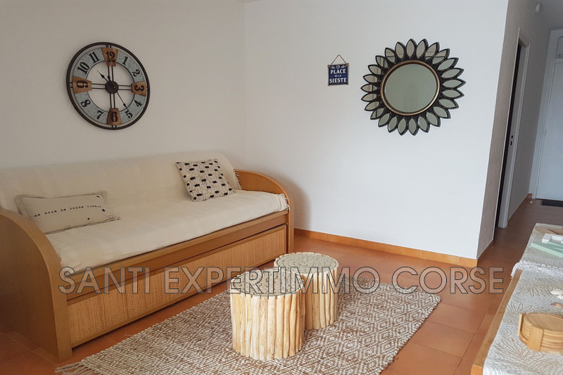 Vente appartement Linguizzetta  