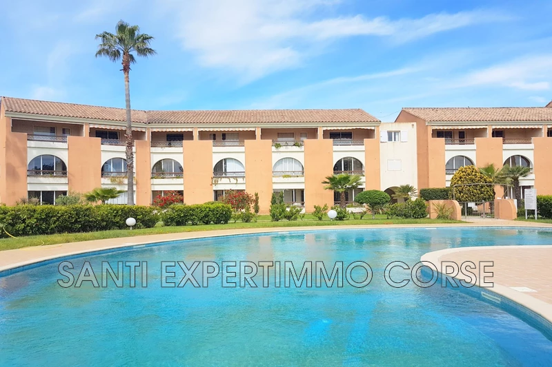 Vente appartement Linguizzetta  