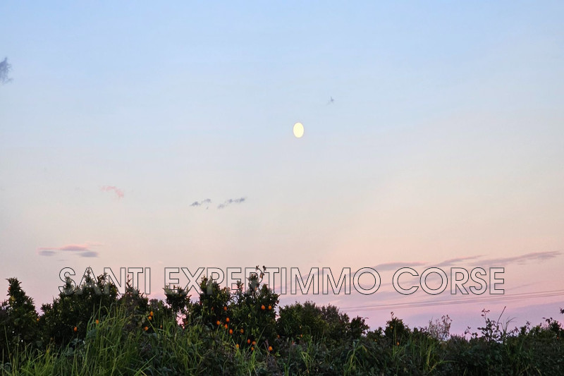 Vente villa Lecci  