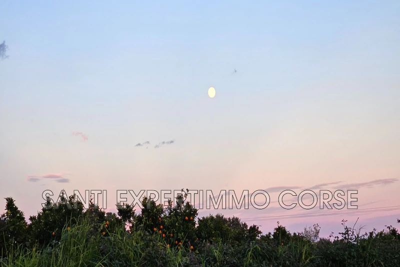 Vente villa Lecci  