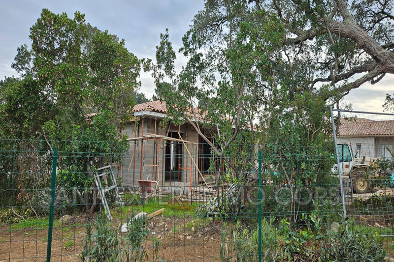Vente villa Lecci  