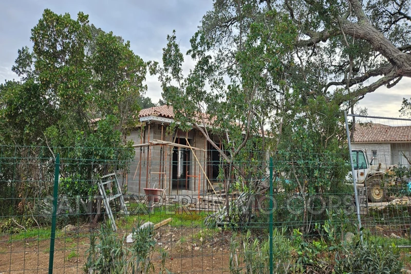 Vente villa Lecci  