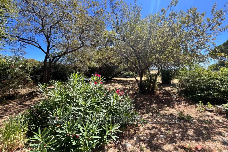 Vente maison Solaro  