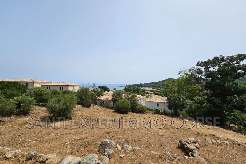 Vente appartement Favone conca  