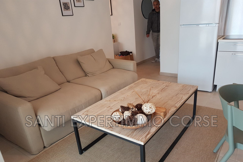 Vente appartement Linguizzetta  