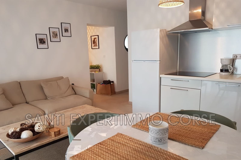 Vente appartement Linguizzetta  