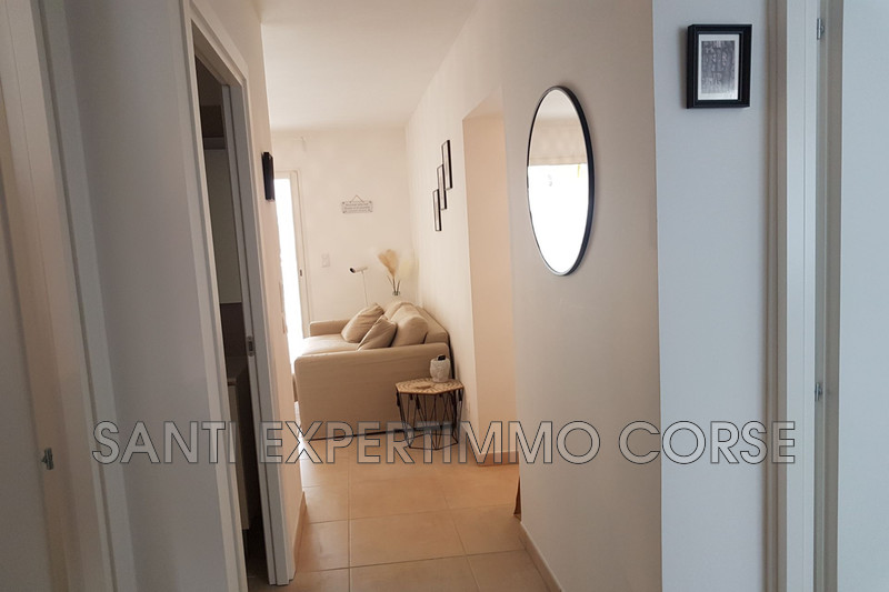 Vente appartement Linguizzetta  